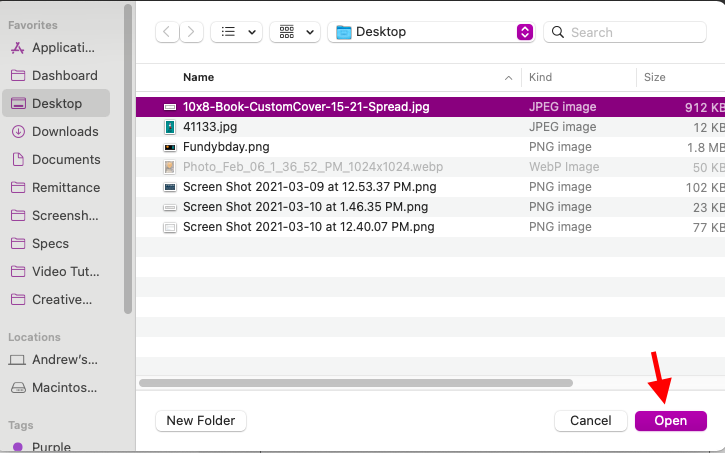 Screen_Shot_2021-03-10_at_1.47.05_PM.png