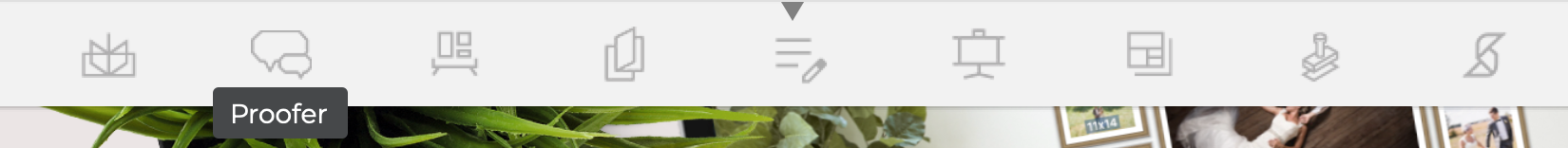 Proofer Module.png