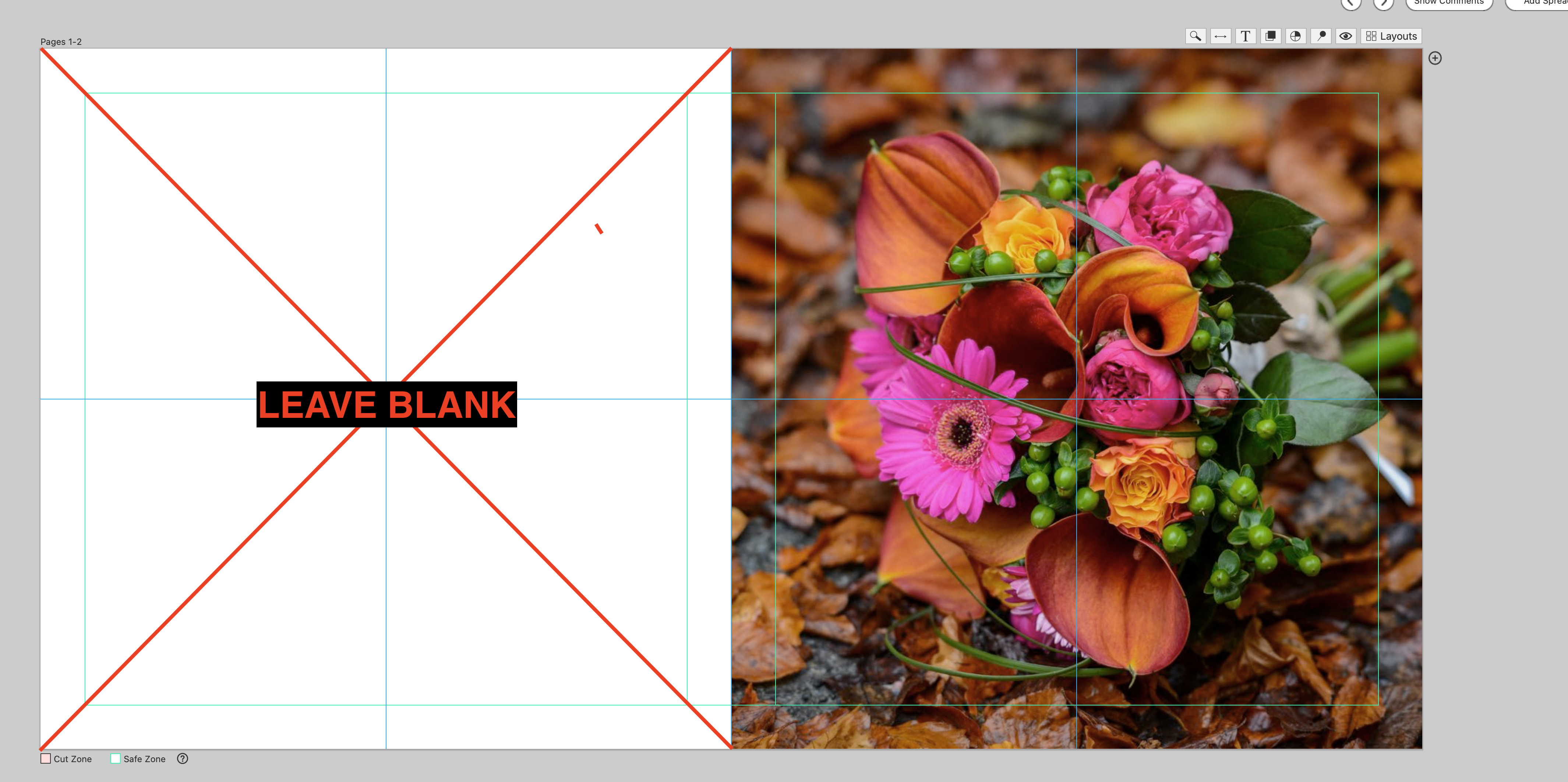 Screen_Shot_2022-05-25_at_8.35.38_AM.png