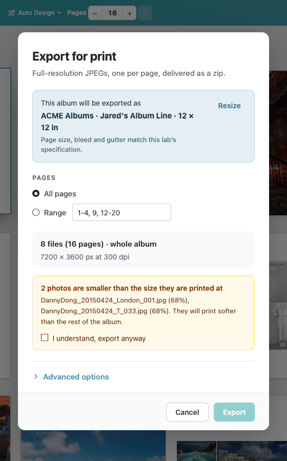 export-for-print-dialog.png