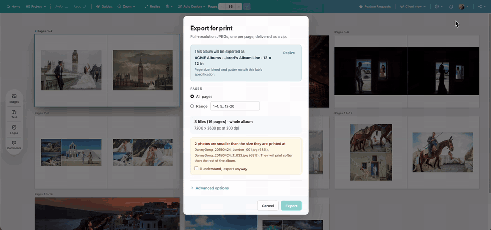 02-album-resize.gif