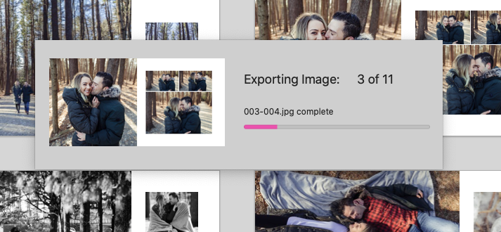 Image_Importer_and_Fundy_Designer_Suite_v10.png